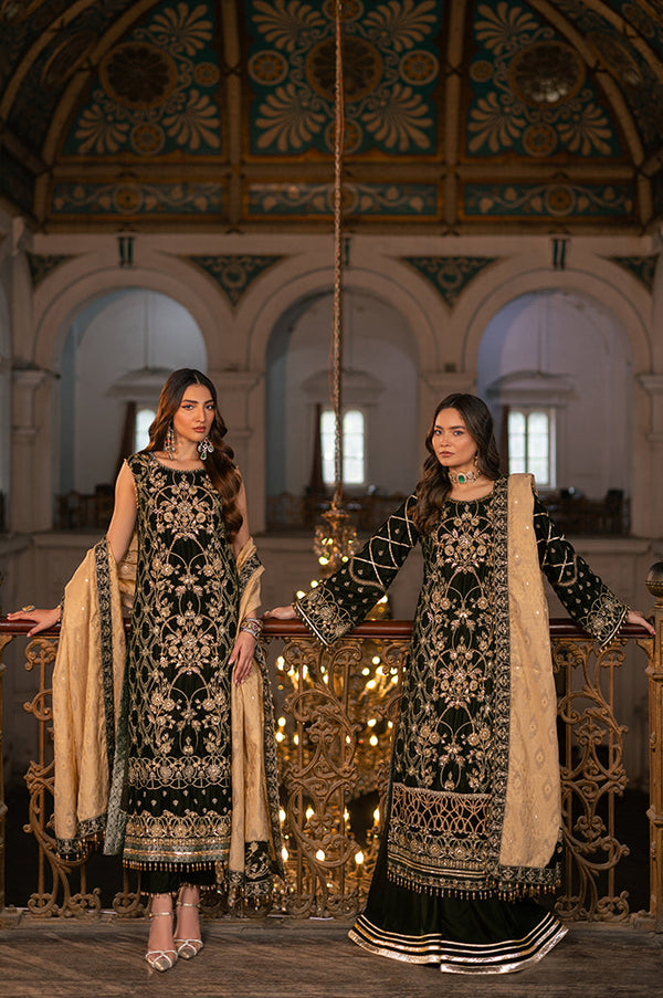 RAANI VELVET UNSTITCHED COLLECTION '24 (D# - 02)