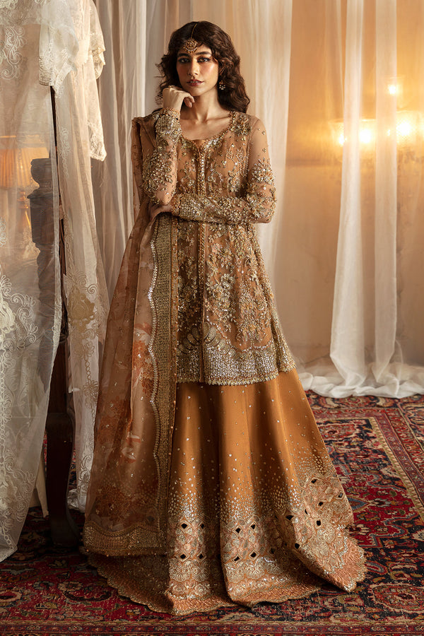 AFROZEH HAYAT WEDDING FORMALS '24 - NOORAY